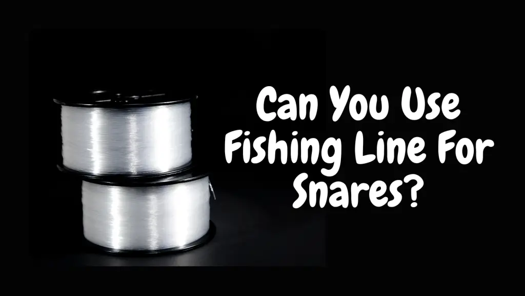 Can you use fishing line for snares