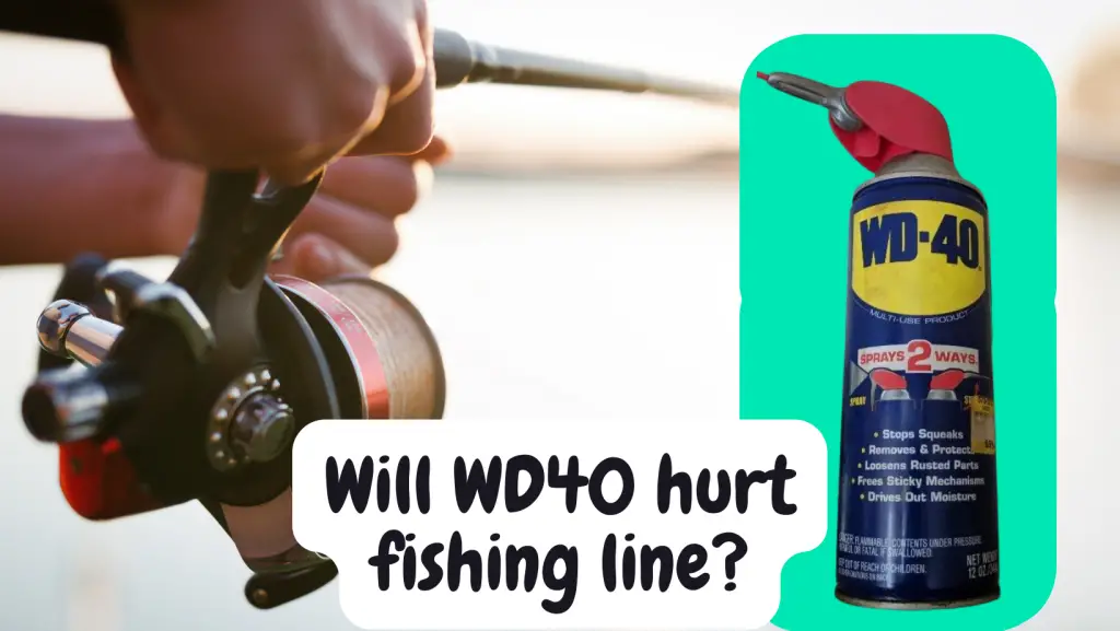 Will WD40 hurt fishing line?