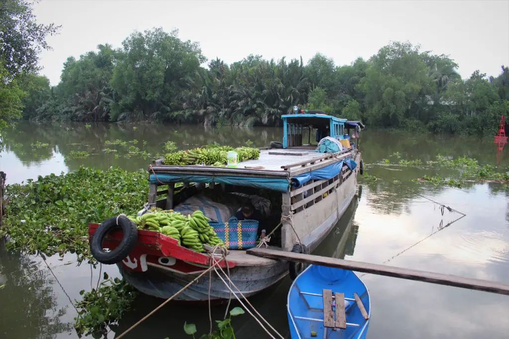 The possible origin behind banning bananas on fishing boats