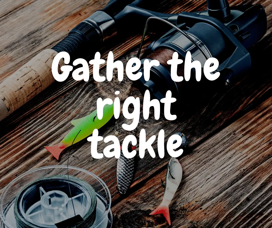 Carolina Rig For Redfish - Gather the right tackle