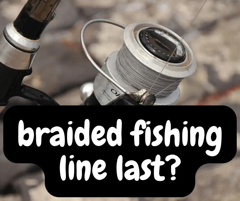 Does braided fishing line have a shelf life 