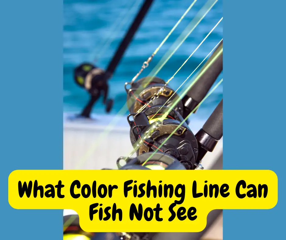 What Color Fishing Line Can Fish Not See