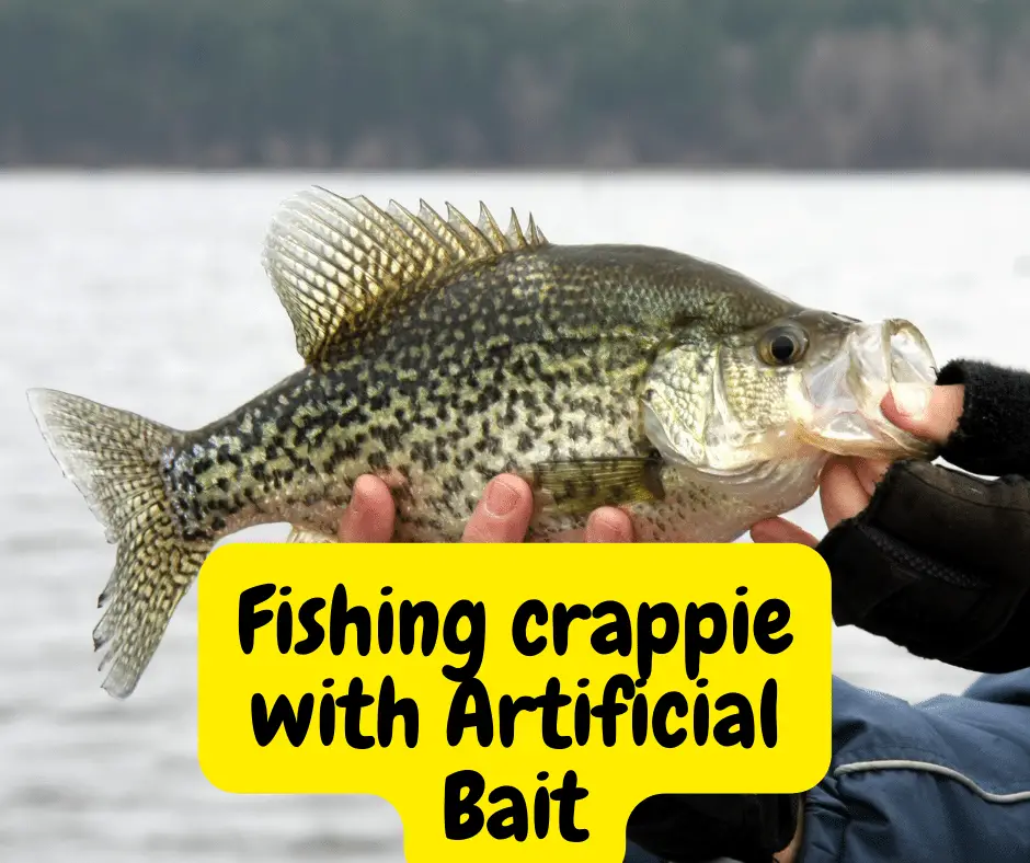 fish crappie with artificial bait