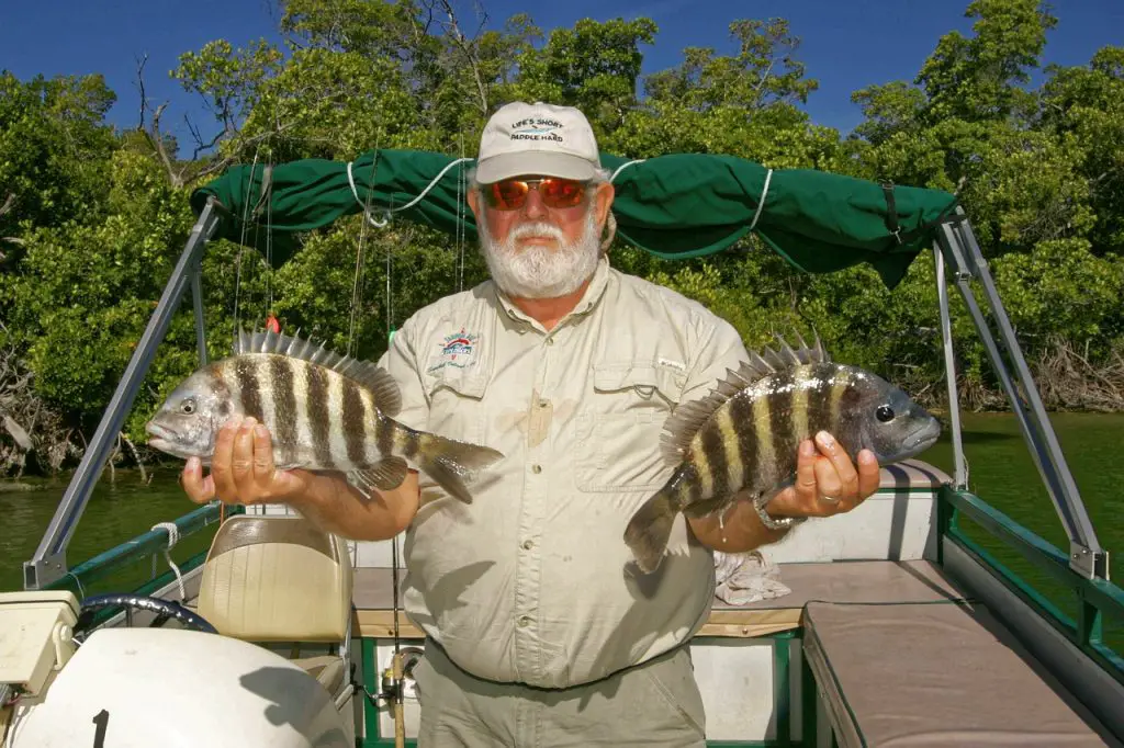 Activities that you can do on a boat camping trip - fishing