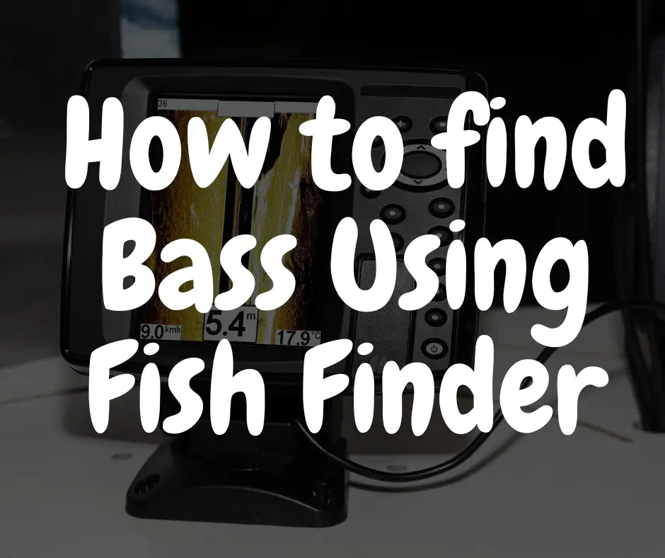 How To Find A Bassist